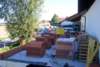 Photo Number 5
